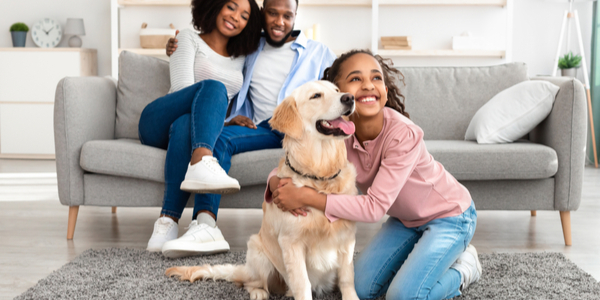 Pet Store Banner