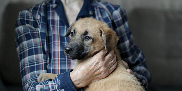 Petland In the Community