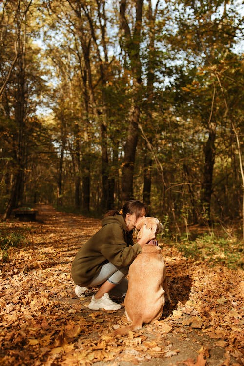 Top Five Dog Breeds Who Love to Play Outdoors