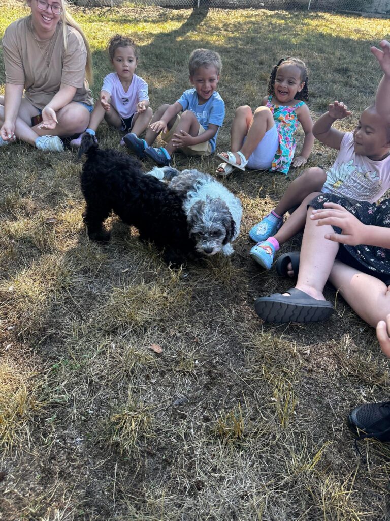 kids playing with Doodles
