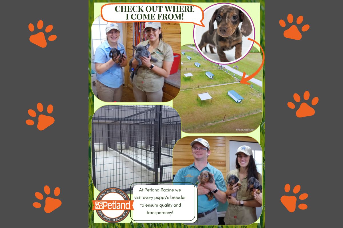 What Makes Petland Racine Unique?